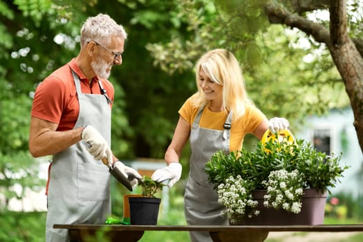 Retirement Hobbies. Happy Senior Couple Gardening Together On Backyard
