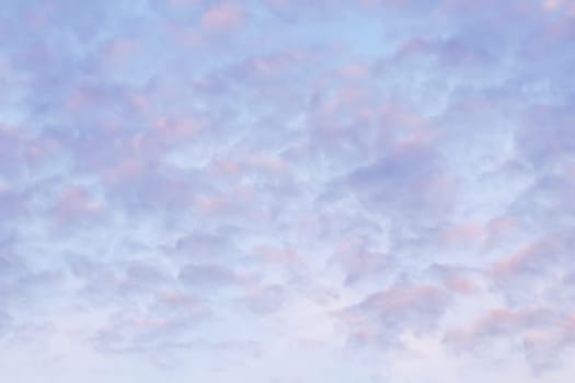 Background of blue sky with pink clouds in sunset
