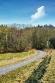 Road, landscape and forest with trees in countryside for travel, adventure and roadtrip with field in nature. Street, pathway and location in Amsterdam with tarmac, roadway or environment for tourism