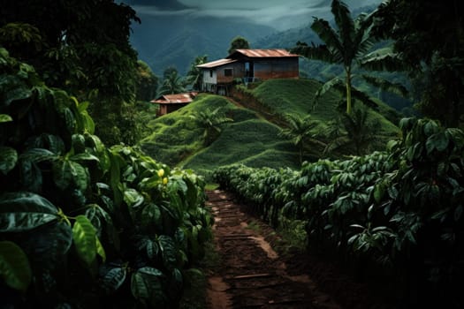 Vibrant Coffee plantation sunset. Generate Ai