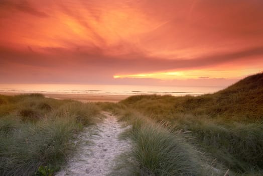 Sunset, grass and pathway to ocean or beach, nature and sand in road. Sea, landscape and environment for walking in summer evening, travel and destination for relax or peace with scenery sky.