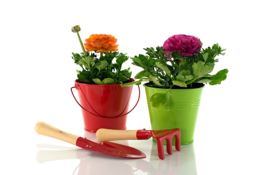 red and green bucket with spring flowers and gardening tools