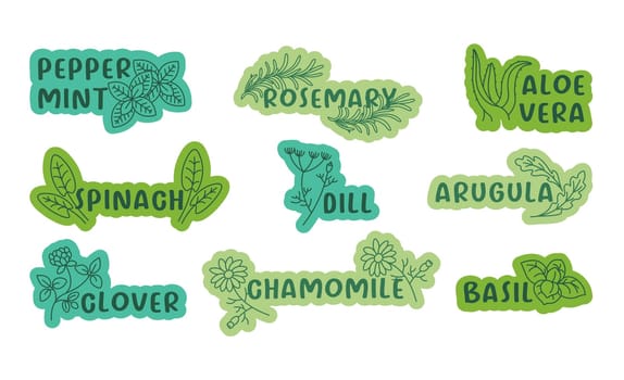 Sticker design set with line seasoning herbs. Colorful label collection with organic ingredient and sign collection, vector illustration. Tag design with peppermint, rosemary, aloe vera and spinach