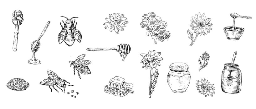 Big outline set of honey design elements bee and jar. Vector illustration can used for wrapping paper, textile, food label, print for organic honey products.
