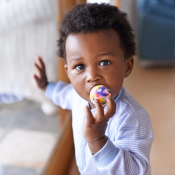 Portrait, baby or toy in play, coordination or growth as learning, game or progress in Jamaica. Black boy, child or ball in mouth as healthy, motor skill or fun in curious, cognitive or sensory