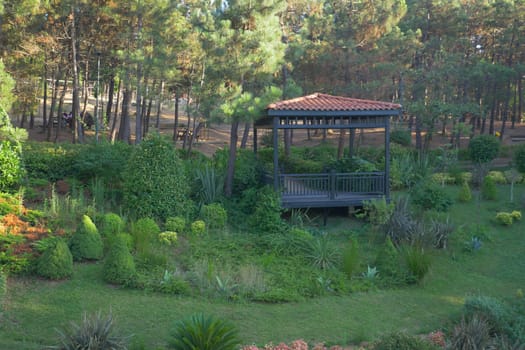 A gazebo nestled amidst vibrant greenery of a forest