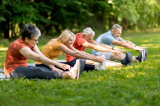 Active Lifestyle. Group Of Sporty Senior People Exercising Together Outdoors, Happy Mature Men And Women Stretching On Lawn In Park, Making Fitness Workout Outside, Enjoying Retirement Leisure