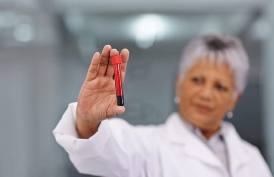 Science, blood sample and woman with test tube in laboratory for medical research and analysis study. Healthcare, biotechnology and scientist for vaccine development, DNA experiment and medicine.