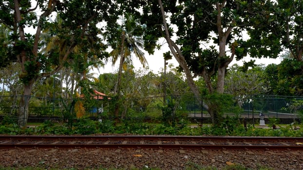 Railway tracks in forest, side view. Action. Countryside landscape and rail road.