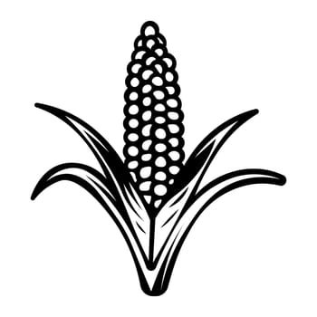 black vector corn icon on white background