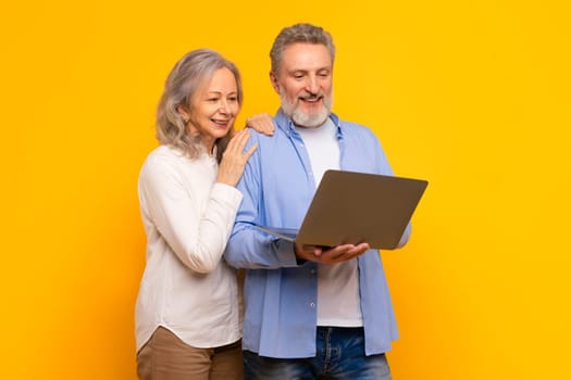 Modern European mature couple browsing website together on laptop, studio
