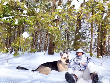 Adult girl or mature lady with shepherd dog in winter nature landscape in a forest. Middle aged woman training big shepherd dog in cold day. Friendship, love, communication, fun, hugs