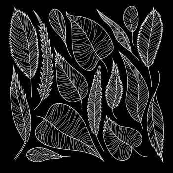 White leaves line work. Isolated on black background. Hand drawn line vector illustration.