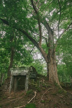 Bung Mealea Castle, the Kingdom of Khmer in the past that has collapsed