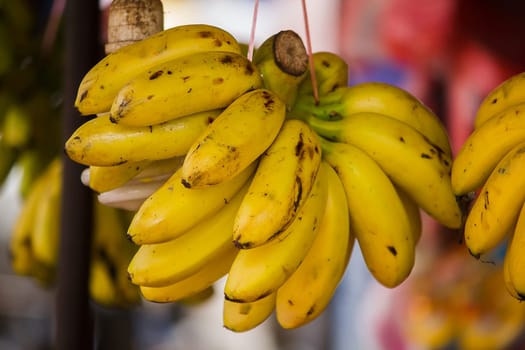 Golden Banana hanging for sale