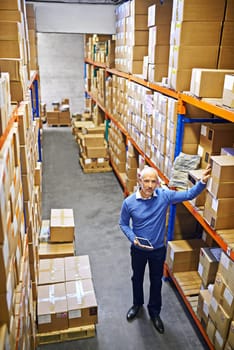 Tablet, portrait or top view of man in warehouse for delivery boxes, storage or stock in factory for website. Printing, manager or supply chain inspection for cargo, package or wholesale shipping