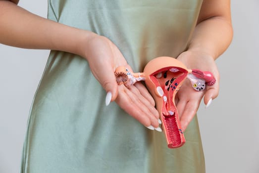 Asain woman holds model of female reproductive system in the hands. Help and care concept