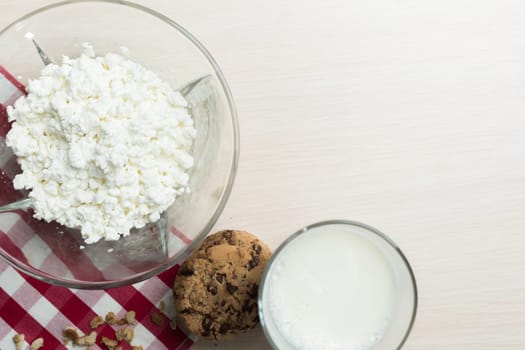 milk, cottage cheese - dairy products