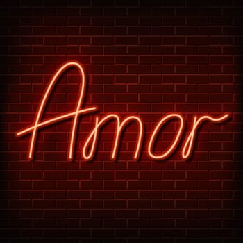 Neon word love in spanish and portuguese. A bright red sign on a brick wall. Element of design for a happy Valentine s day. Vector illustration