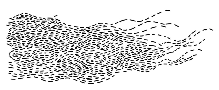 Lines forming image, monochrome sketches vector