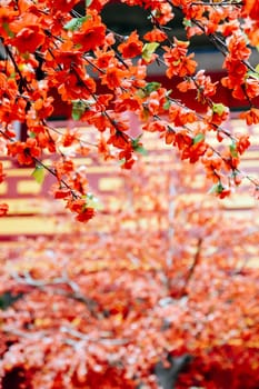 imitation flower, artificial Japanese cherry blossoms in full bloom. Beautiful flowers background.