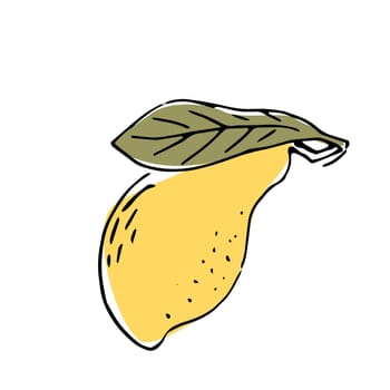 Hand drawn Mango fruit with leaves - ink sketch with color
