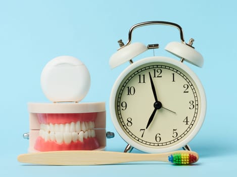Plastic model of human jaw, alarm clock and dental floss on blue background, morning routine for oral hygiene