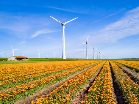 A colorful sea of tulips, with towering windmills in the distance, spinning gracefully in the spring breeze of Netherlands Flevoland. windmill turbines, green energy, eco friendly, earth day