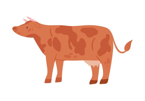 Cow animal farm