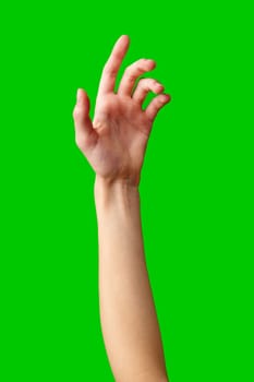Hand Reaching Up on Green Background