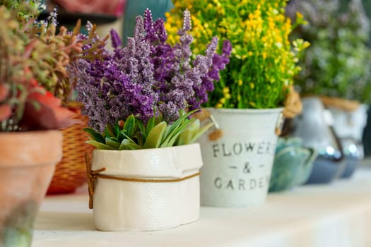 Assorted Potted Plants and Flowers Displayed On a Wooden Table Indoors