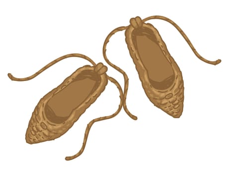 Prehistoric shoes made of straw, old footwear