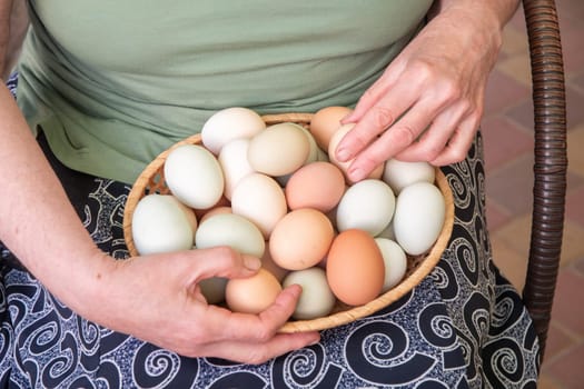 elderly woman holds a basket of fresh organic chicken eggs of different colors on her knees, collected