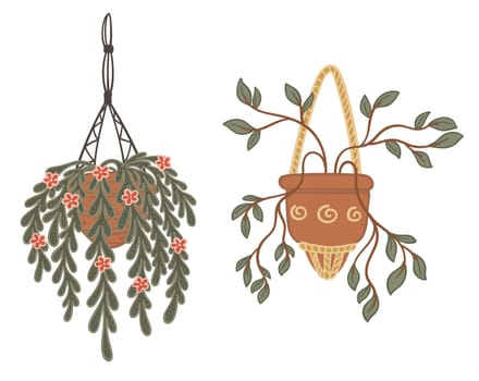 Indoor Hanging and Potted Plants Vector Set