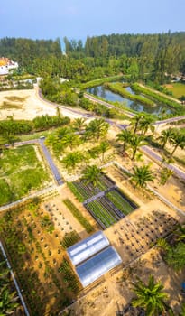 Botanic garden in Khao Lak beach in Phang Nga, Thailand