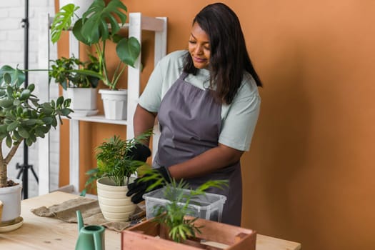 African american girl blogger influencer or SME owner work on home video camera selfie shoot filming take care home plants and transplanting plant in flowerpot. Home gardening and florist concept.