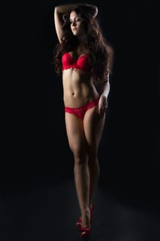 Sensual brunette posing in erotic red lingerie