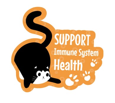 Support immune system health of your cat vector