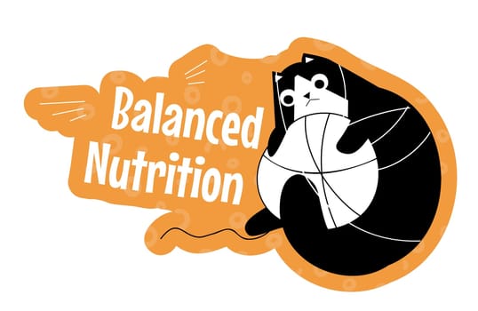 Balanced nutrition for cats, feline animal food