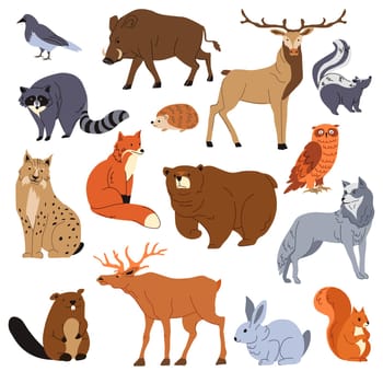 Forest animals, raccoon and fox, bear and deer