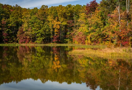 Fall leaves surround reservoir in Coopers Rock State Forest in WV