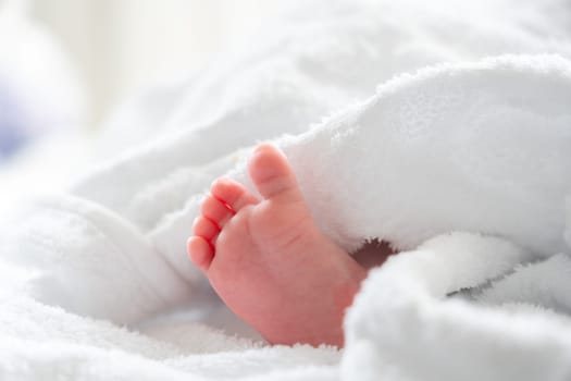 After the bath: infant's foot shyly emerging from soft white comfort