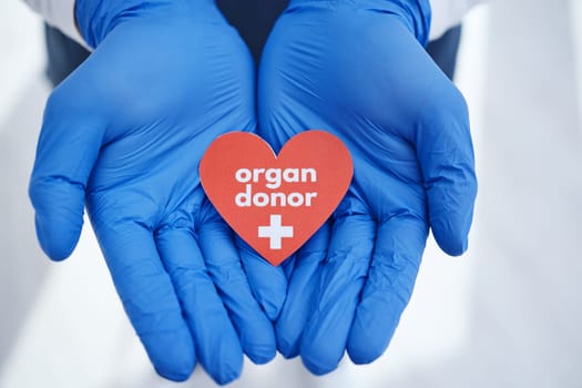 Hands, heart and doctor with organ donation, help and medical transplant in hospital zoom. Healthcare, charity and palm of surgeon with sign for cardiovascular, surgery or donor, support or hope