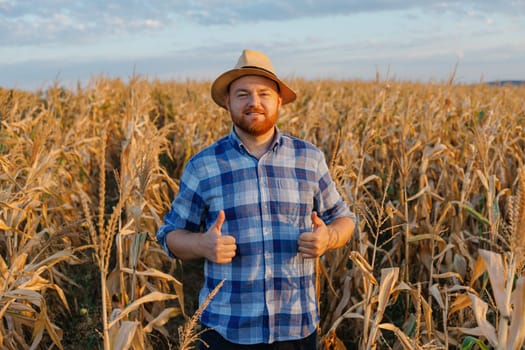 Young farmer in hat smiling and showing thumb up, standing on yellow corn field. High quality photo