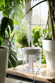 Modern air humidifier on table in living room full of plants. Space for text