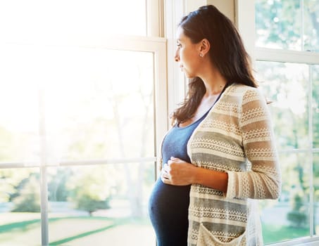 Woman, pregnant and thinking on future at window, hope and maternity, love and hands on stomach. Mother, healthy and care for baby, prenatal wellness and support in motherhood, home and family.