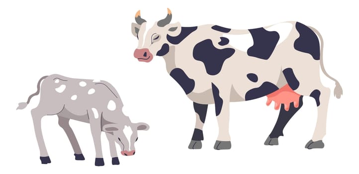 Agriculture and animals breeding, isolated domestic cattle, livestock on a farm. Cow and small calf on pasture. Production of beef and dairy food ingredients for markets. Vector in flat style