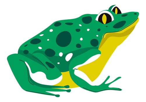 Toad or frog, amphibian animal wildlife vector