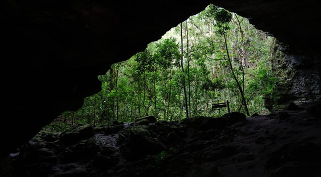 Captivating View of the Jungle from Inside a Large Cave