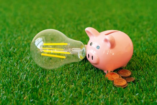Piggy bank with energy saving lamp on grass